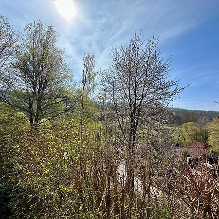 Natur Pur - Waldurlaub Im Tiny House Ronshausen 외부 사진